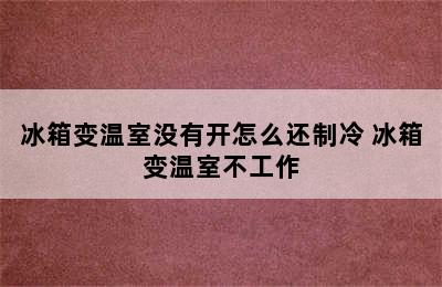 冰箱变温室没有开怎么还制冷 冰箱变温室不工作